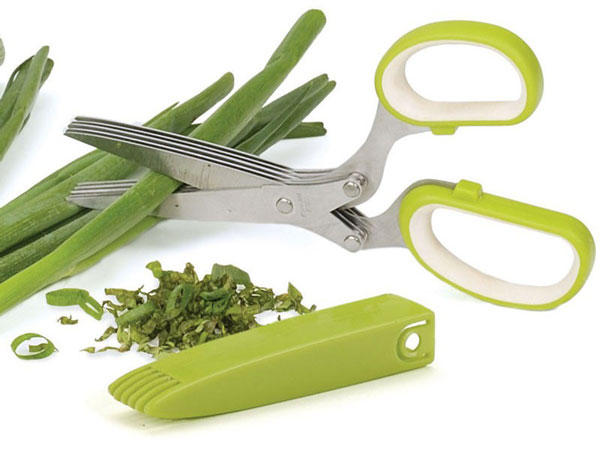 herb scissors green onions