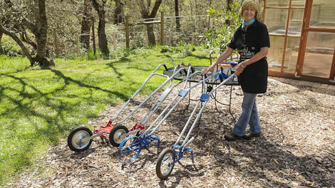 Tricia and the four wheel hoe models