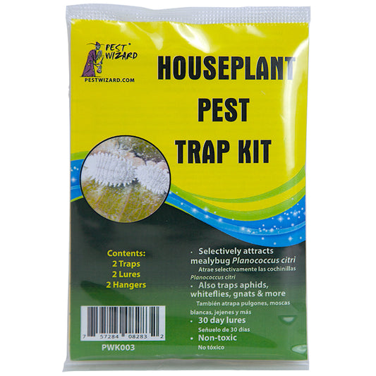 Enoz Gnat Styx (6 Pack) - BioCare Gnat Stix - Sticky Paper Trap - Pesticide  Free - Lasts up to 3 Months - Includes 72 Traps and Stakes