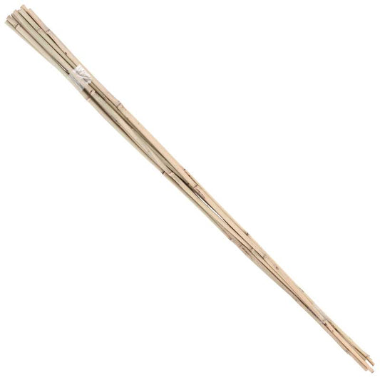 Garden Bamboo Cane Toppers - Pack of 12 – In-Excess Direct
