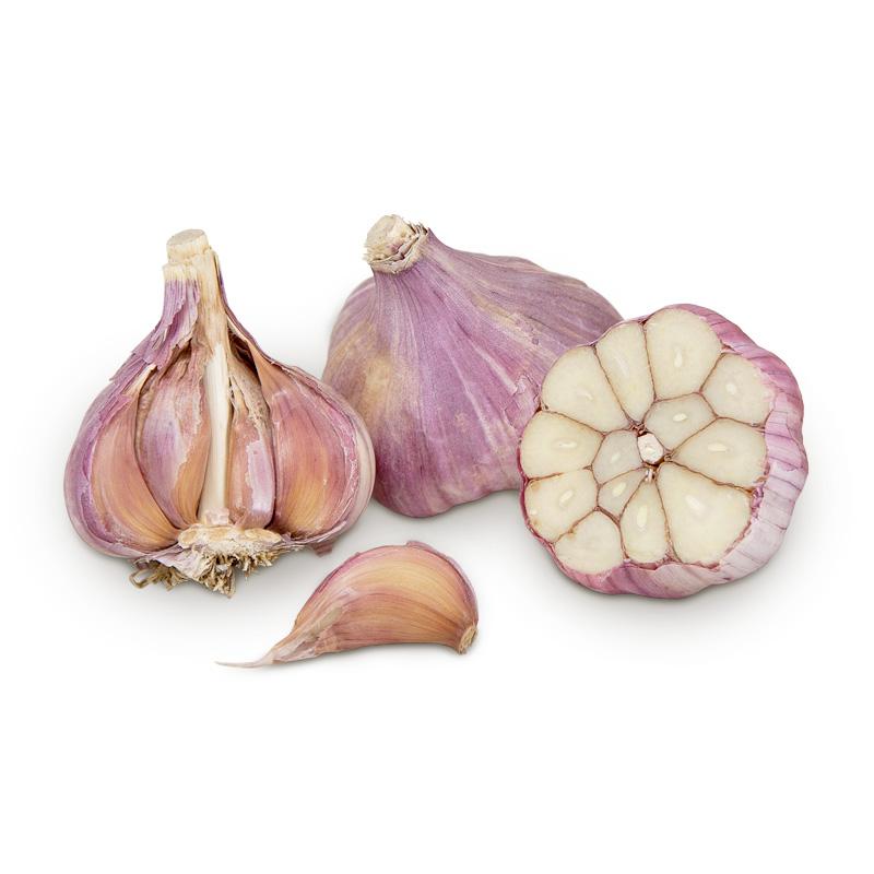 Conventionally Grown Garlic Russian Red Lb 1024x1024 ?v=1636697143