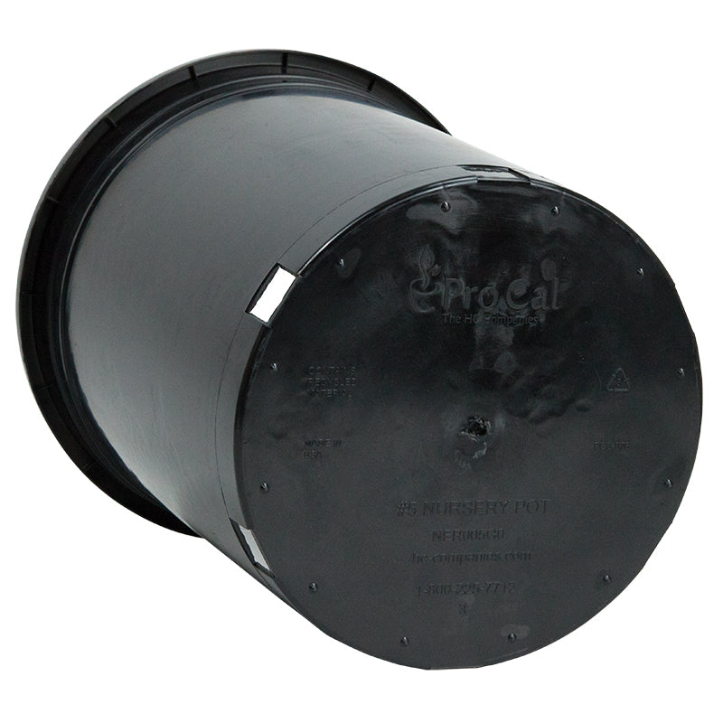 desinfecteren Matroos Secretaris Black Plastic Pot (5 gallon size) - Grow Organic