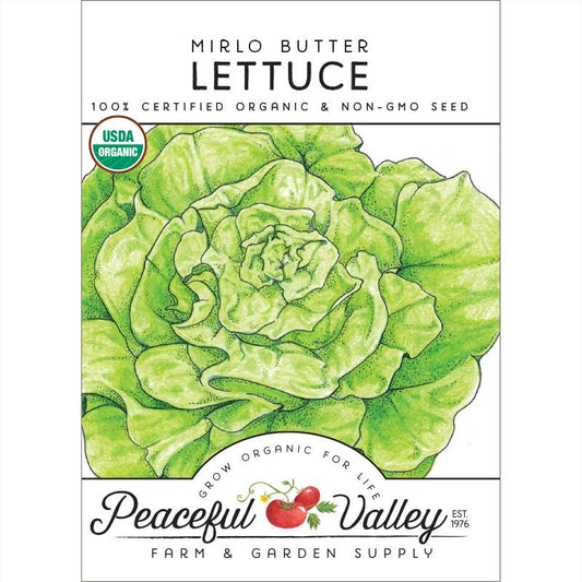 Little Gem Lettuce (Organic) - 3 ea