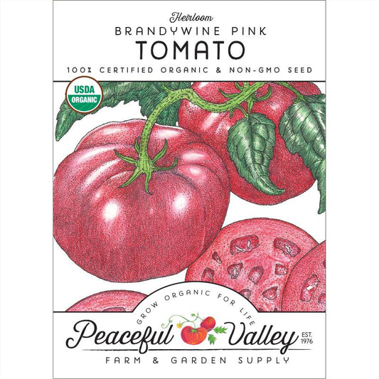 Organic Brandywine Tomato Plant - 4.5 Pot - No GMO's 