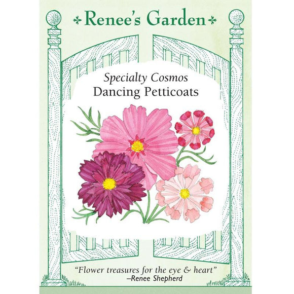 Renee's Garden Specialty Cosmos Dancing Petticoats Heirloom Renee's Garden Specialty Cosmos Dancing Petticoats (Heirloom) Flower Seed & Bulbs