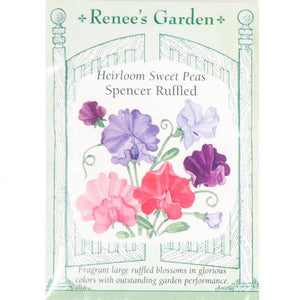 Renee's Garden Sweet Pea Spencer Ruffled (Heirloom)