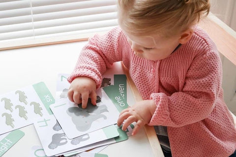 How to Teach Your Baby/Toddler Flash Cards at Home?