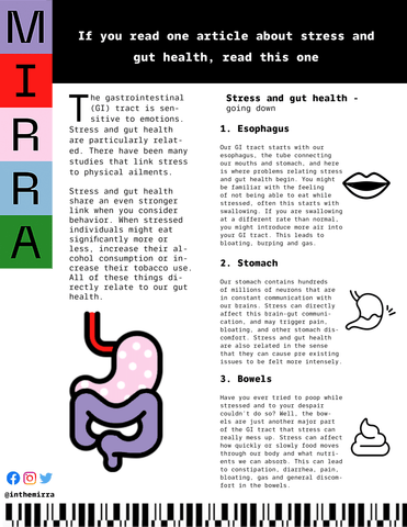 If You Read One Article About Stress and Gut Health Read This One I Mirra Skincare