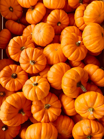 Benefits of Pumpkin Skincare You Do Not Want to Miss This Fall I Mirra Skincare