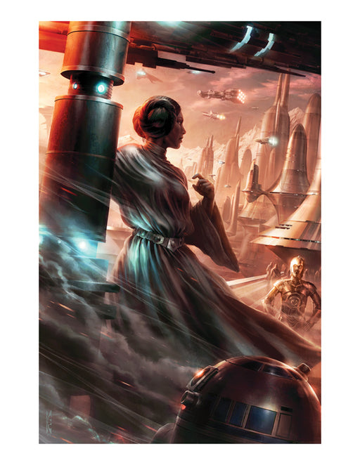 The Final Strike by Raymond Swanland | Star Wars — Acme Archives