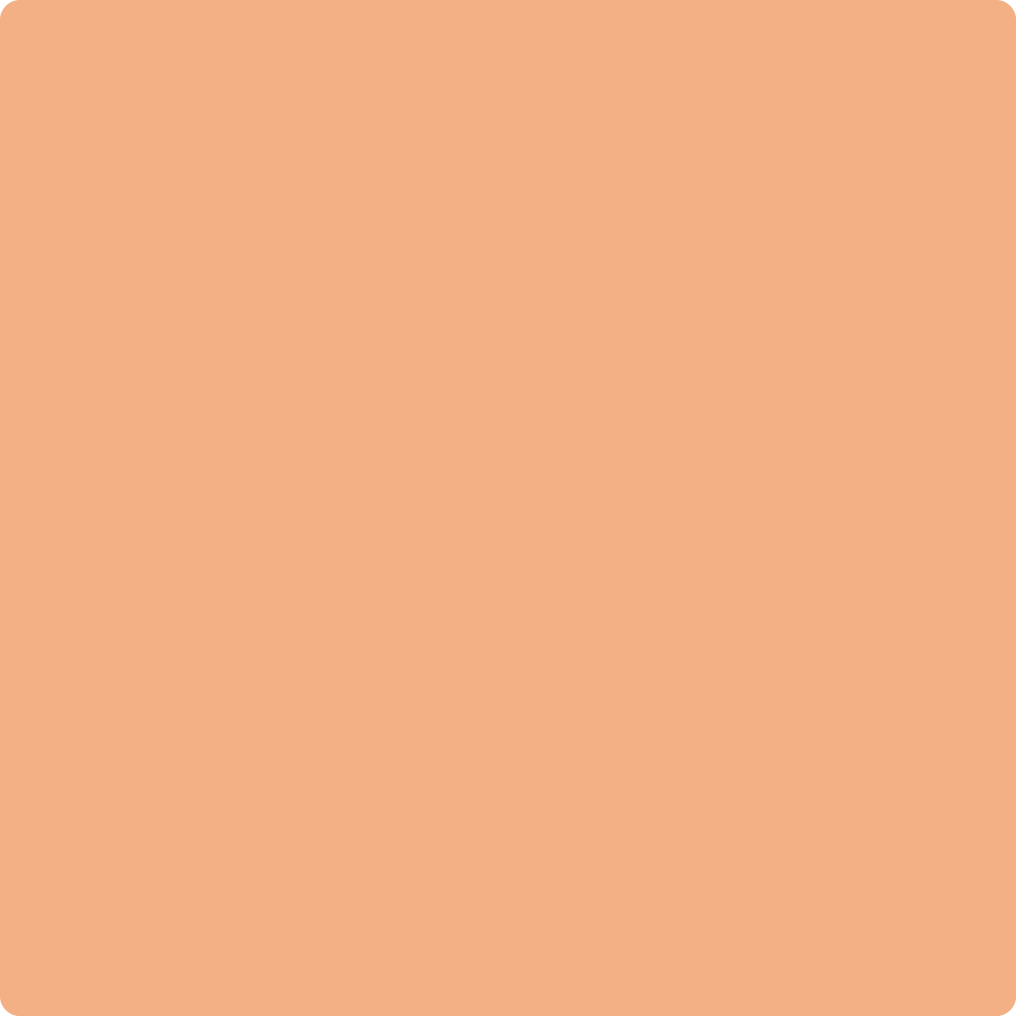 2167-50 Perfect Peach - Paint Color