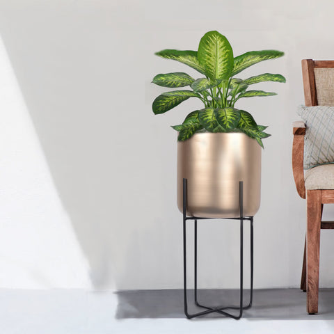 planter - minimalist home decor item