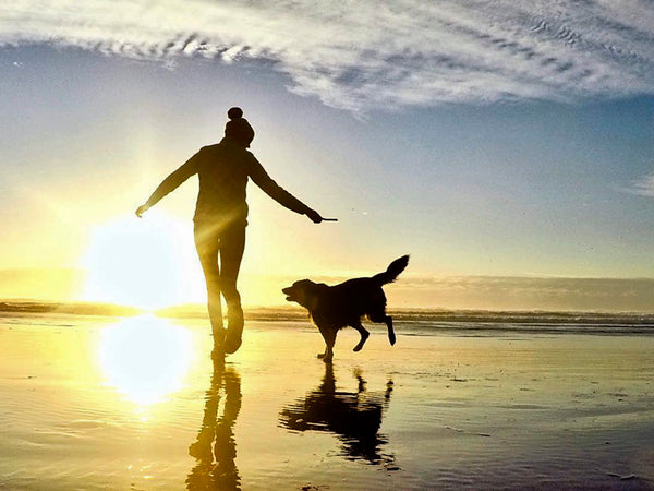 woman and dog being active on the beach at sunset