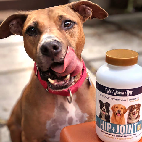 Wagworthy Naturals are a favorite valentine's day gift for dogs to improve hip and joint health