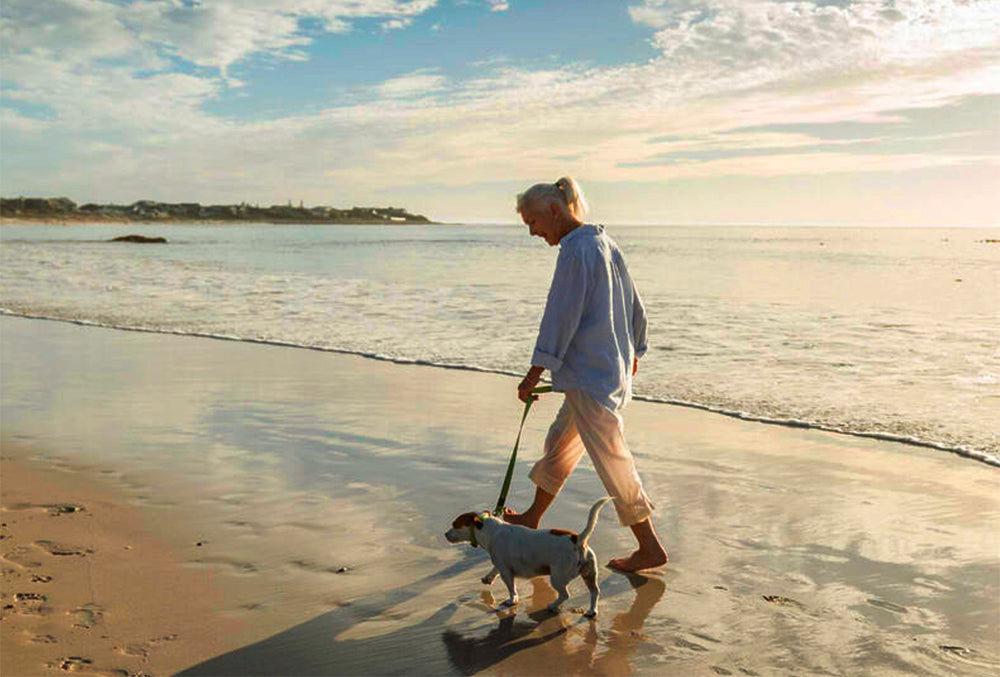 Senior dog walking with old lady by the sea and staying active thanks to WagWorthy Naturals Hip and Joint Supplement that contains only the most effective natural ingredients to support your dog’s joints