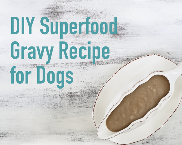 Superfood Gravy Recipe For Dogs | Simple Step-By-Step | The Pet Gourmet®