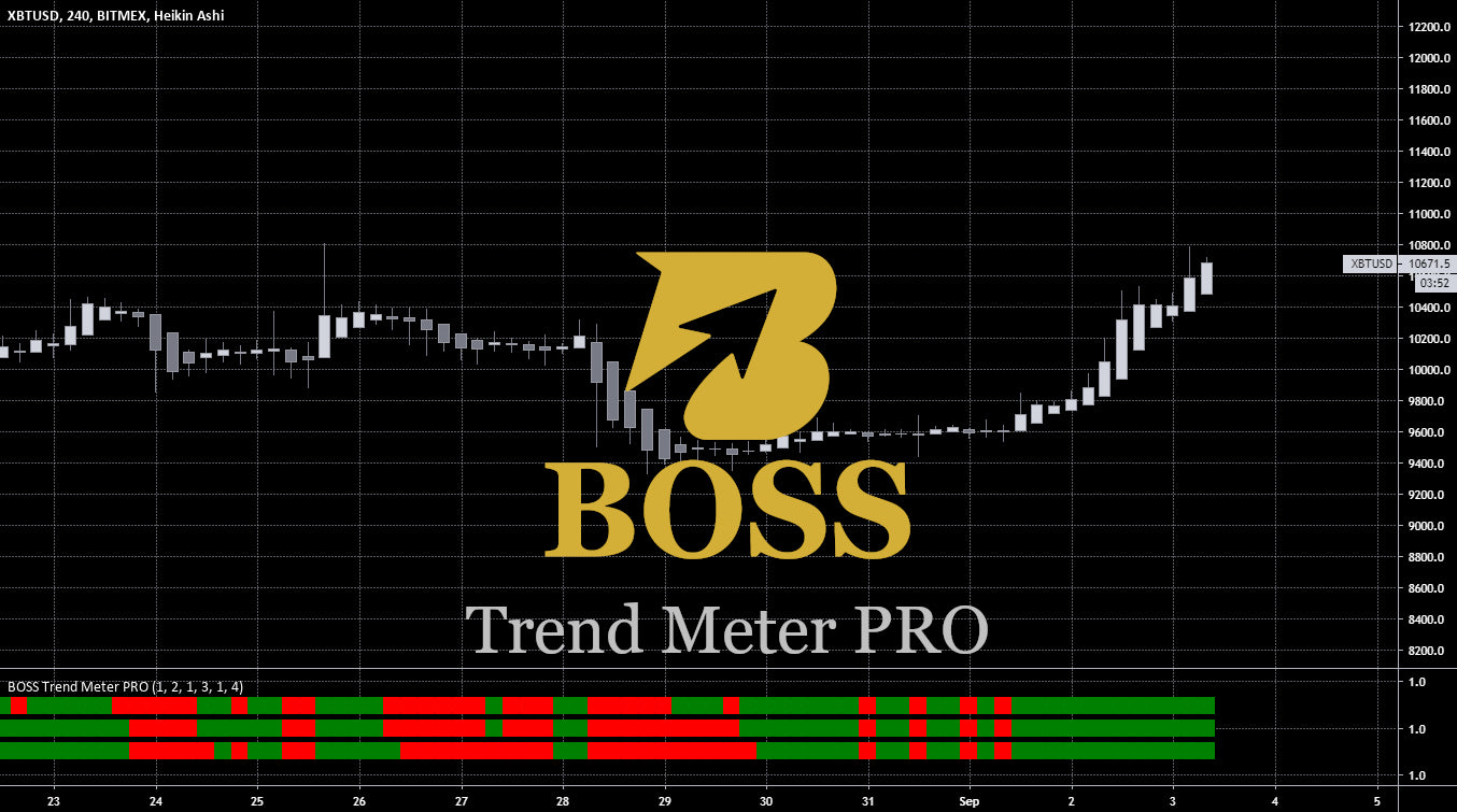 Time Boss Pro 3.36.004 for mac download