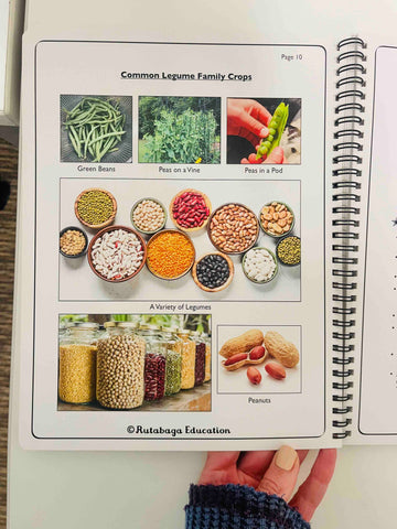 Photos of varieties of legumes.