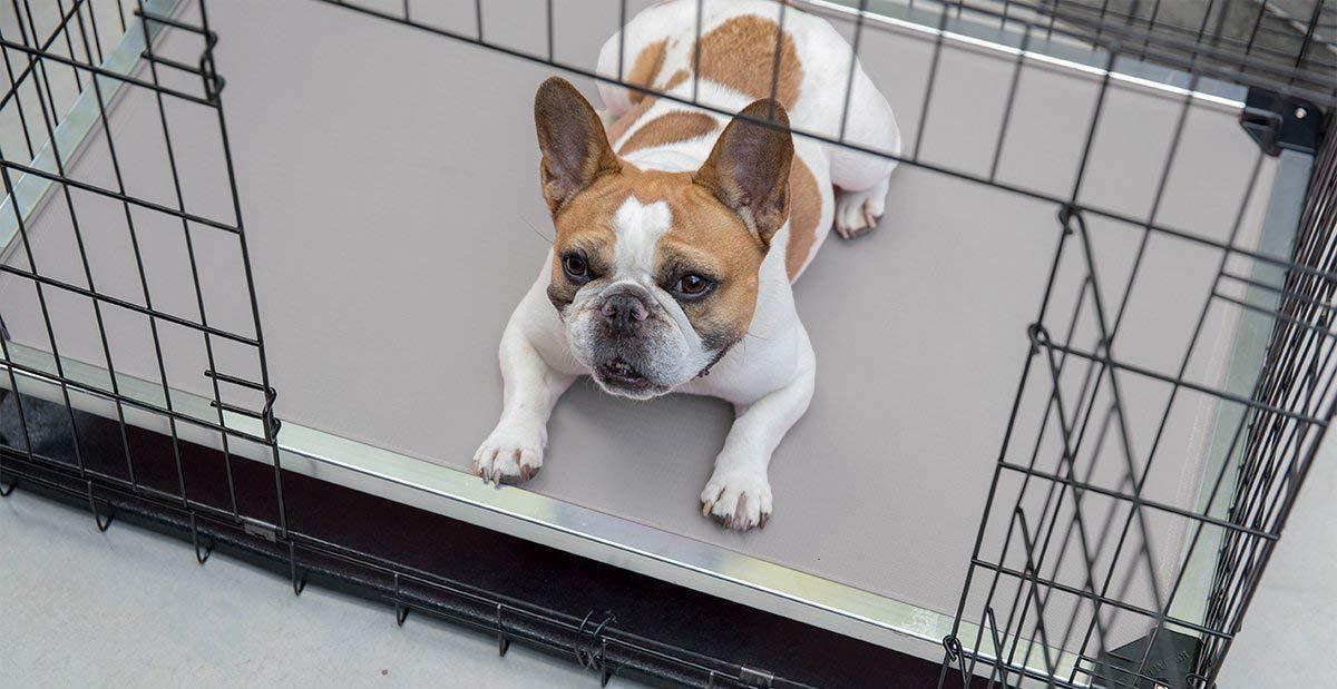 dog crate mats for chewers
