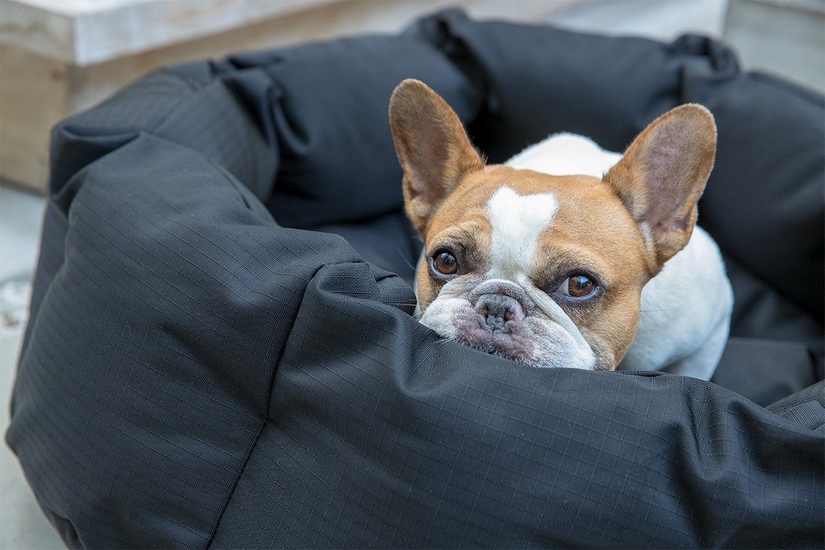 Tough Rip-Stop™ Deep Den Dog Bed - Open Box