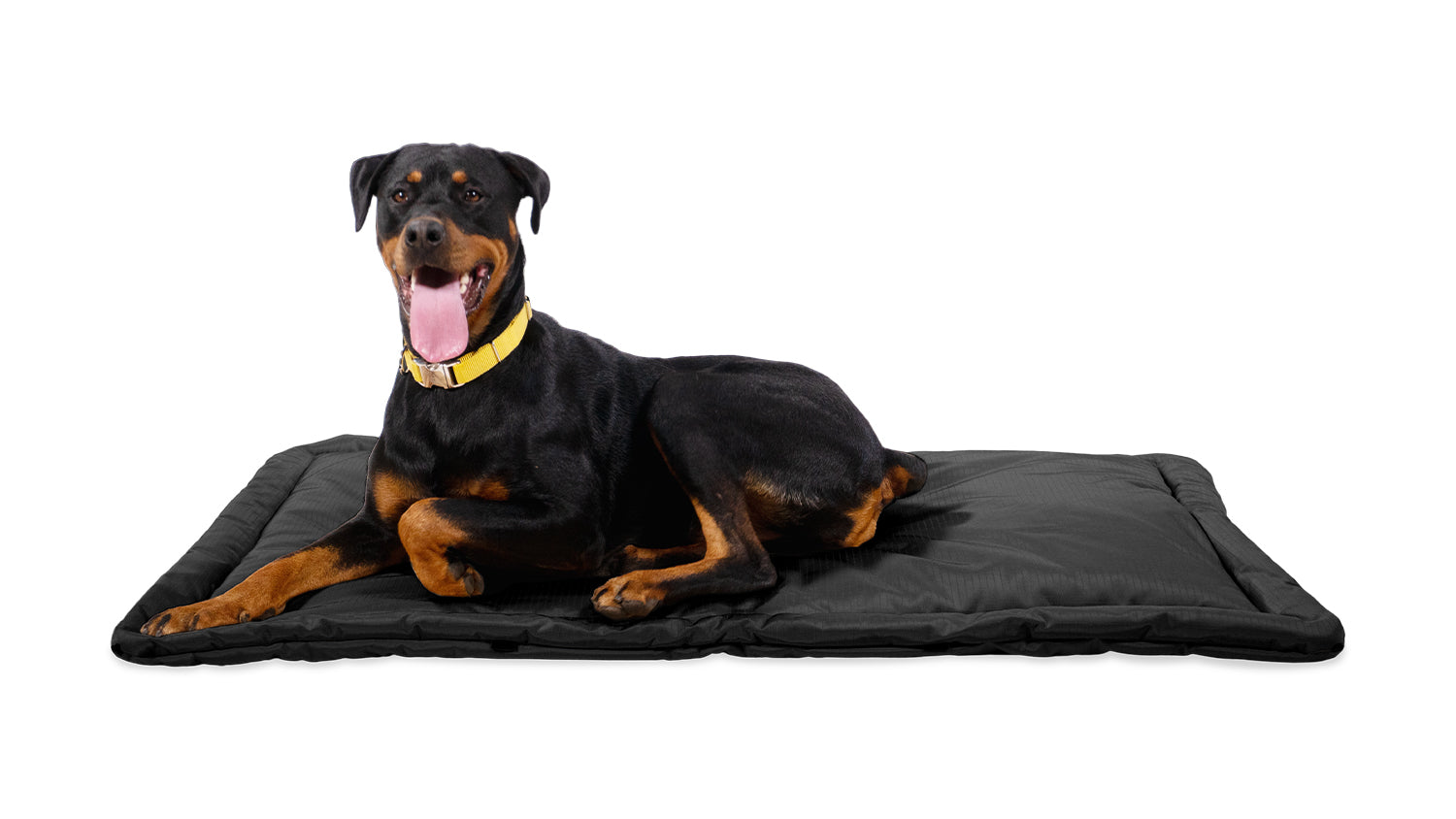 Pet Adobe Navy Waterproof Dog Crate Mat, 34 L X 21 W