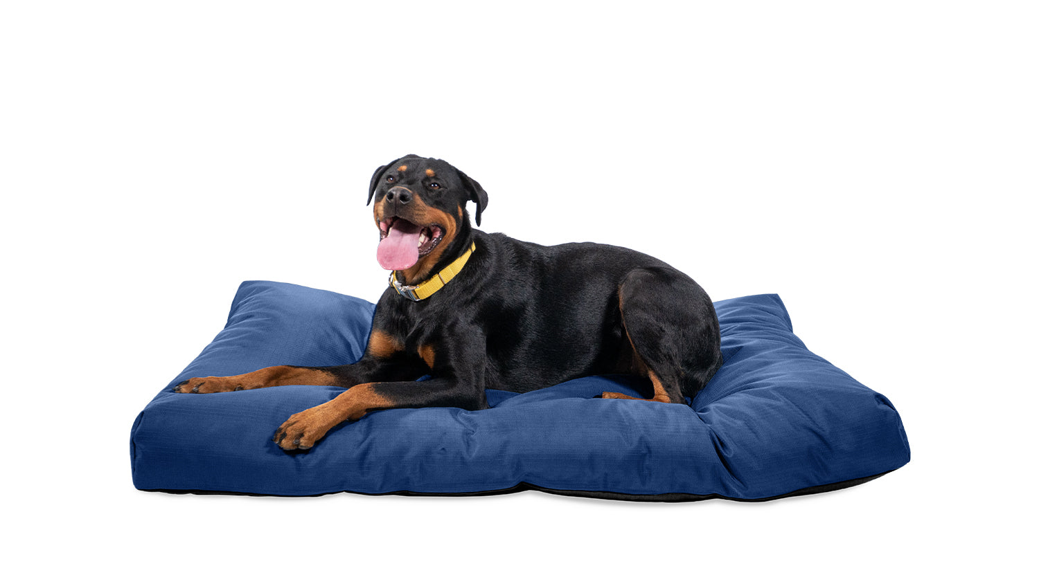 Tough Ripstop™ Rectangle Pillow Dog Bed