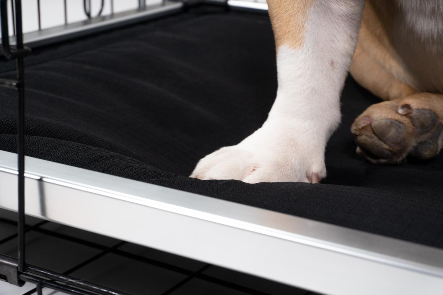 Chew Proof Armored™ Padded Elevated Dog Crate Bed