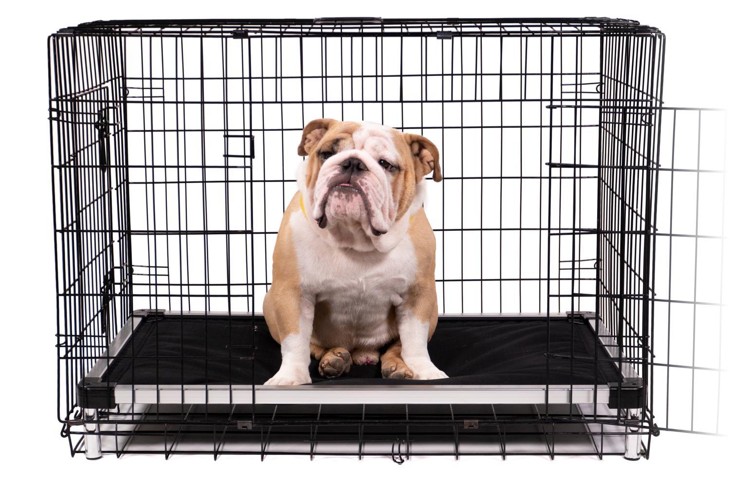 how do i stop my dog from chewing blankets in his crate
