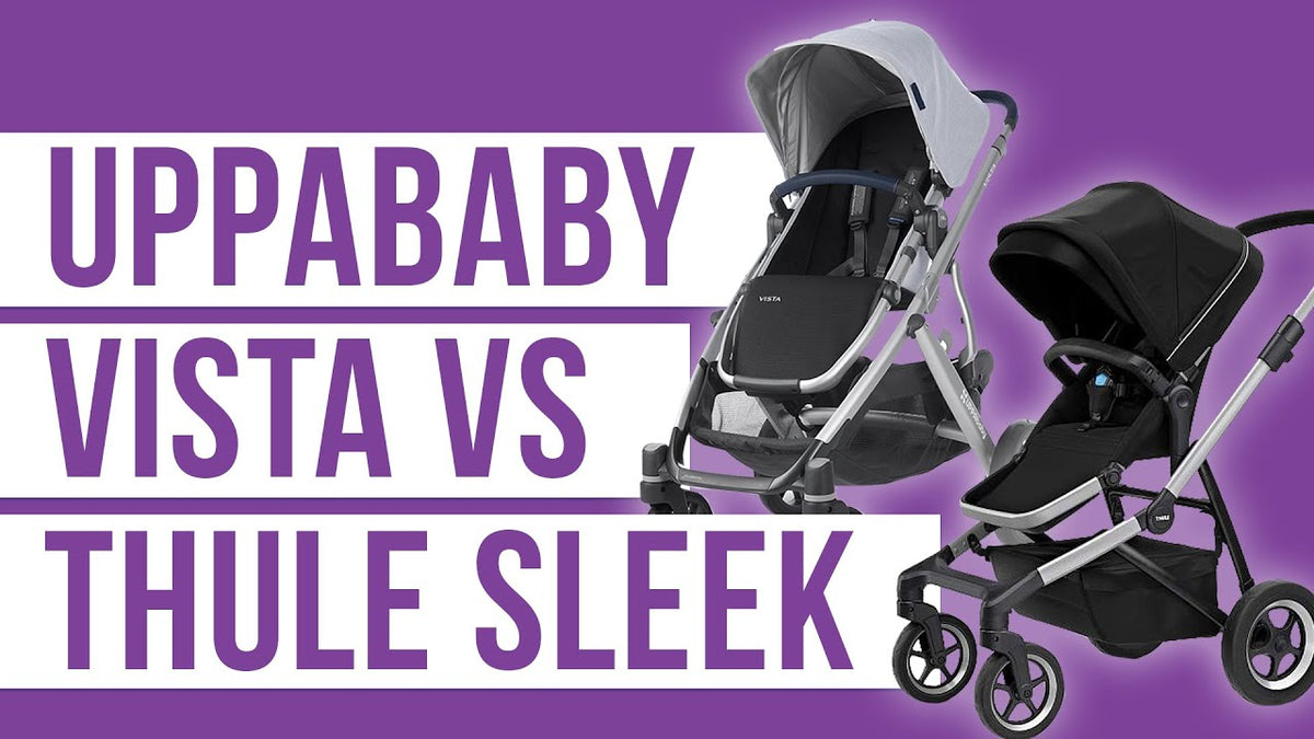 uppababy vista purple