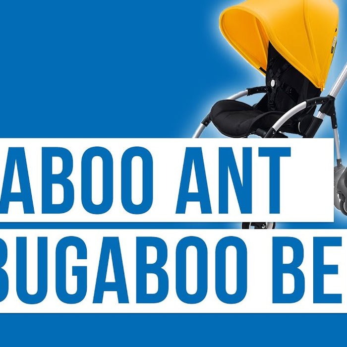 bugaboo ant video