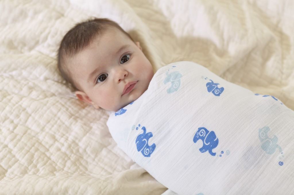 Aden + Anais Swaddle