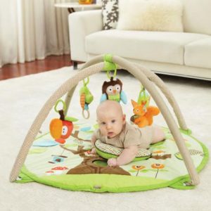 baby toy skip hop play gym