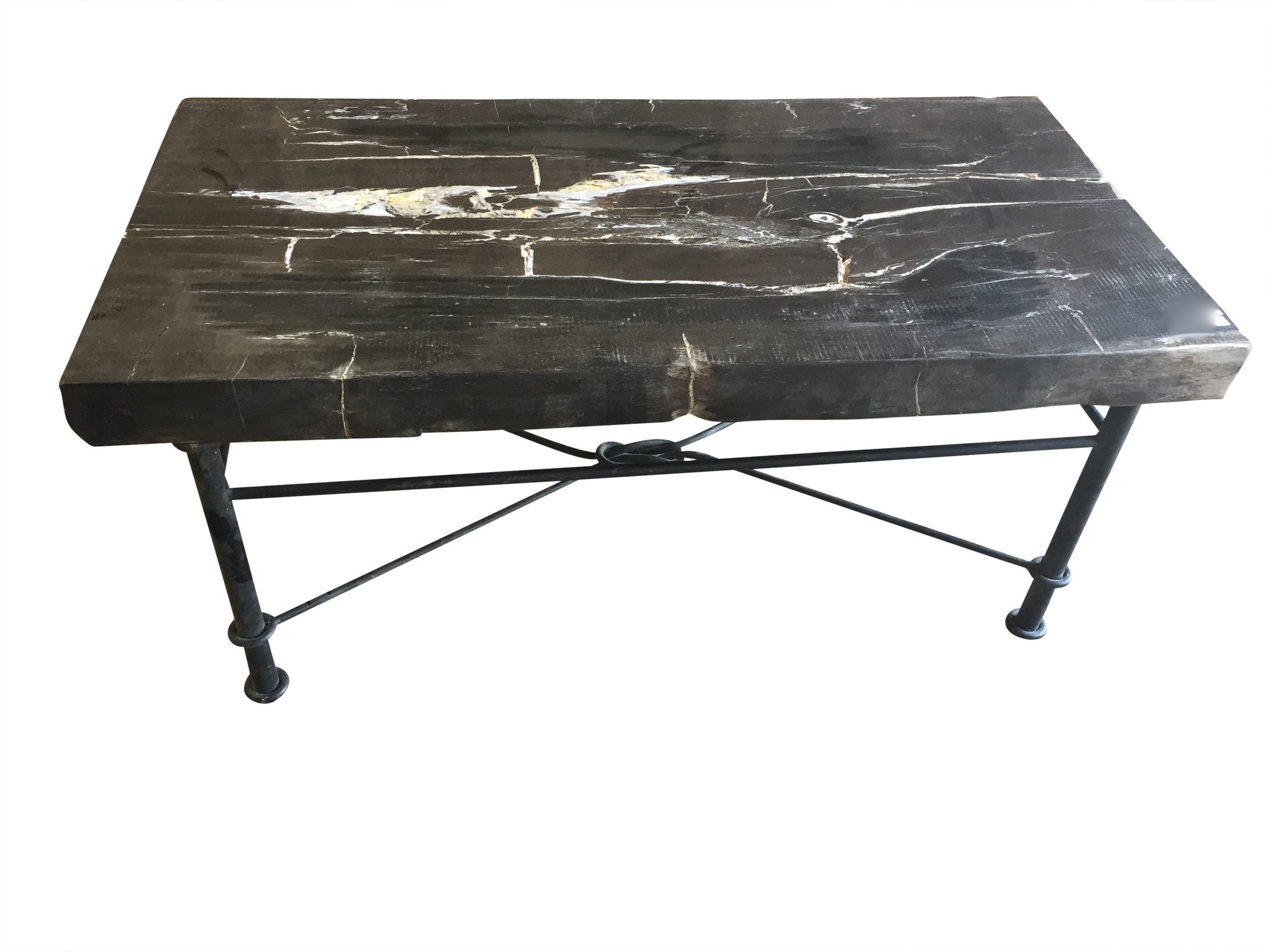 Petrified Wood Coffee Table 