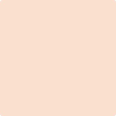 064 Nautilus Shell by Benjamin Moore