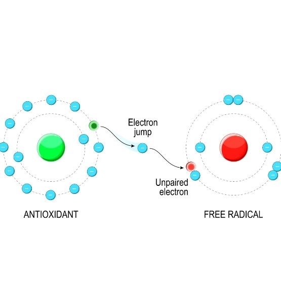 Diagram of an anti-oxidant molecule and a free radical