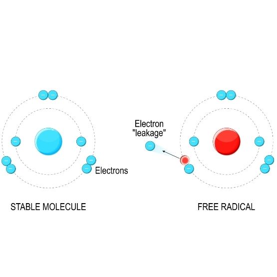 Diagram comparing a stable molecule  and a free radical