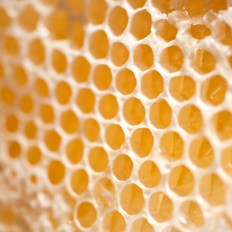 Image of beeswax; an essential ingredient of CameLife Restorative Day Cream