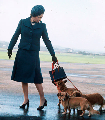 Queen Elizabeth II traveling with her beloved corgis