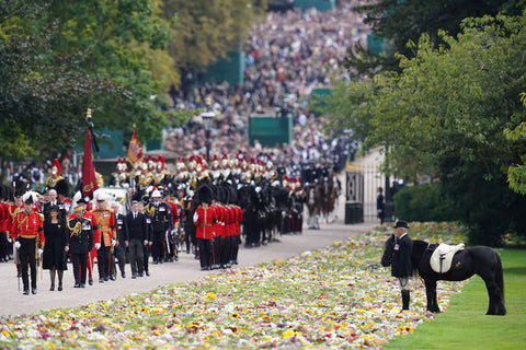 Queen Elizabeth II's fell pony Emma during the state funeral