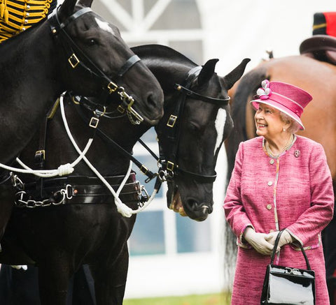 Queen Elizabeth with her racehorses