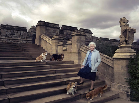 Queen Elizabeth II with her corgis and dorgis at Windsor Castle