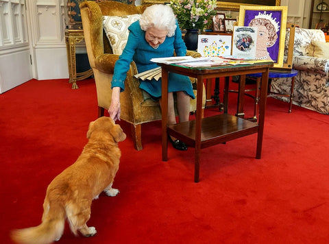 Queen Elizabeth II with her dorgi Candy