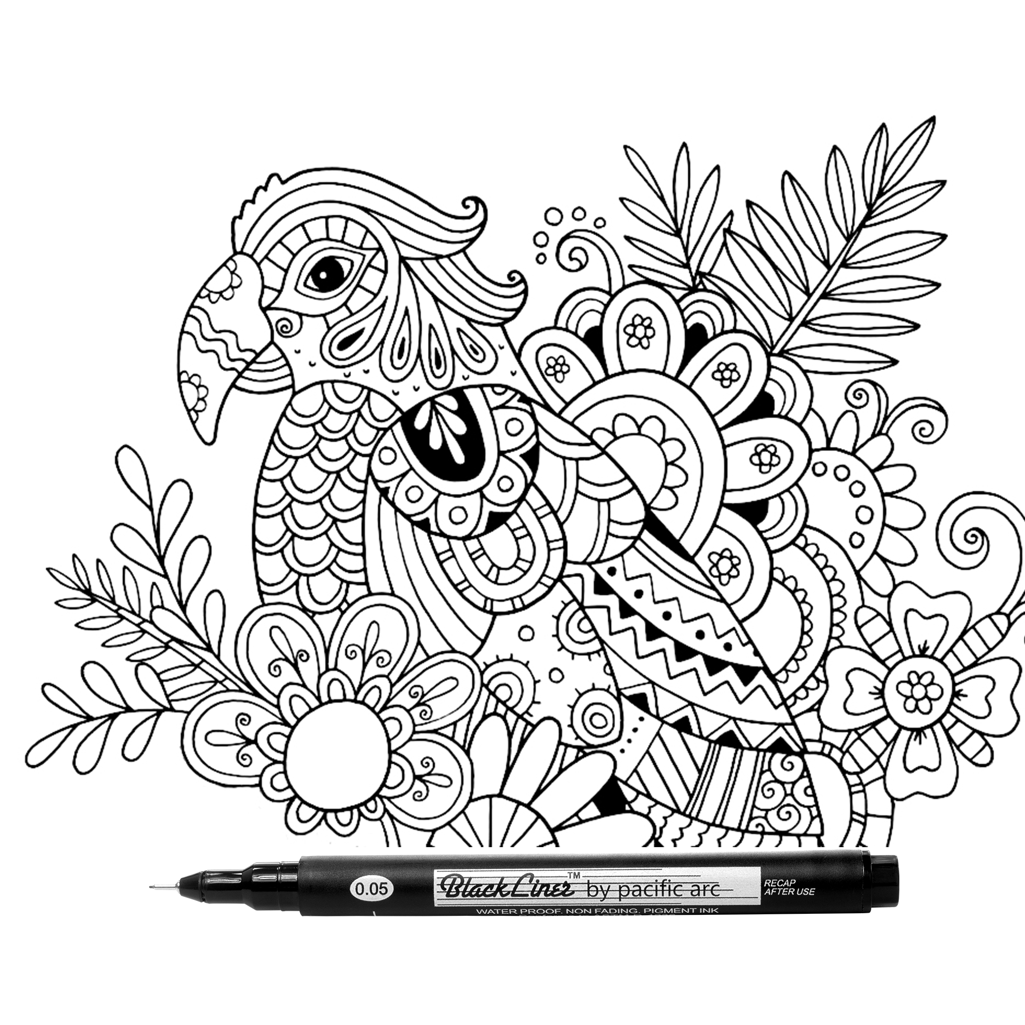 Pacific Arc Blackliner Fine Line Drawing Pens