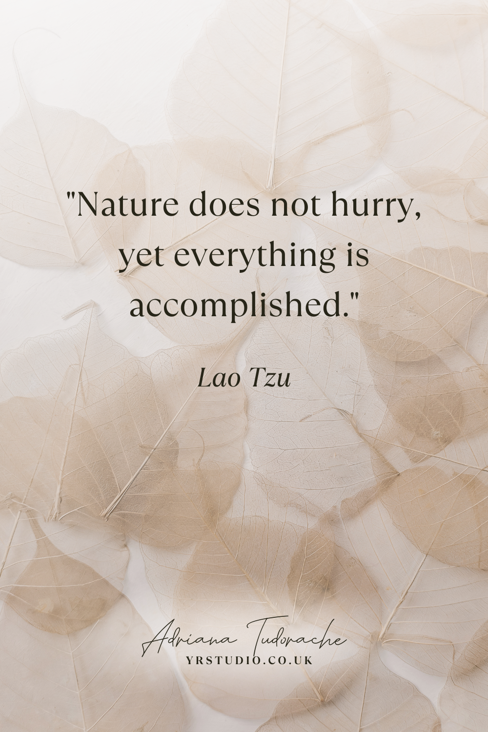"Nature does not hurry, yet everything is accomplished." - Lao Tzu