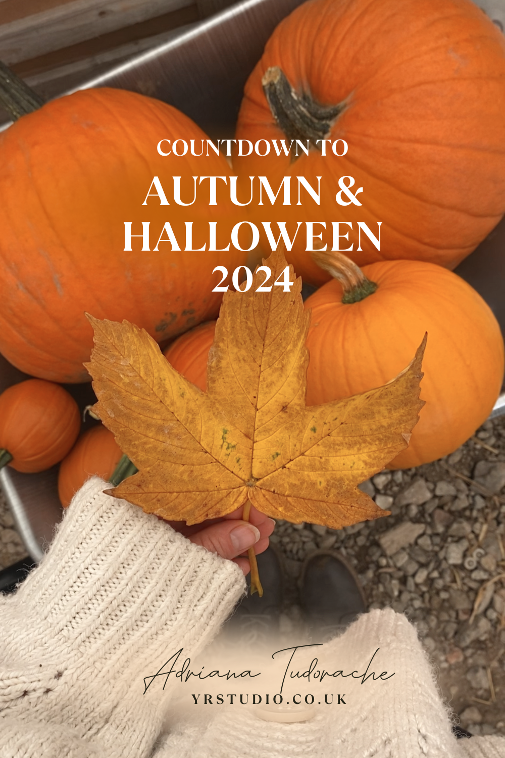 Autumn, Halloween & Thanksgiving 2024 Countdown