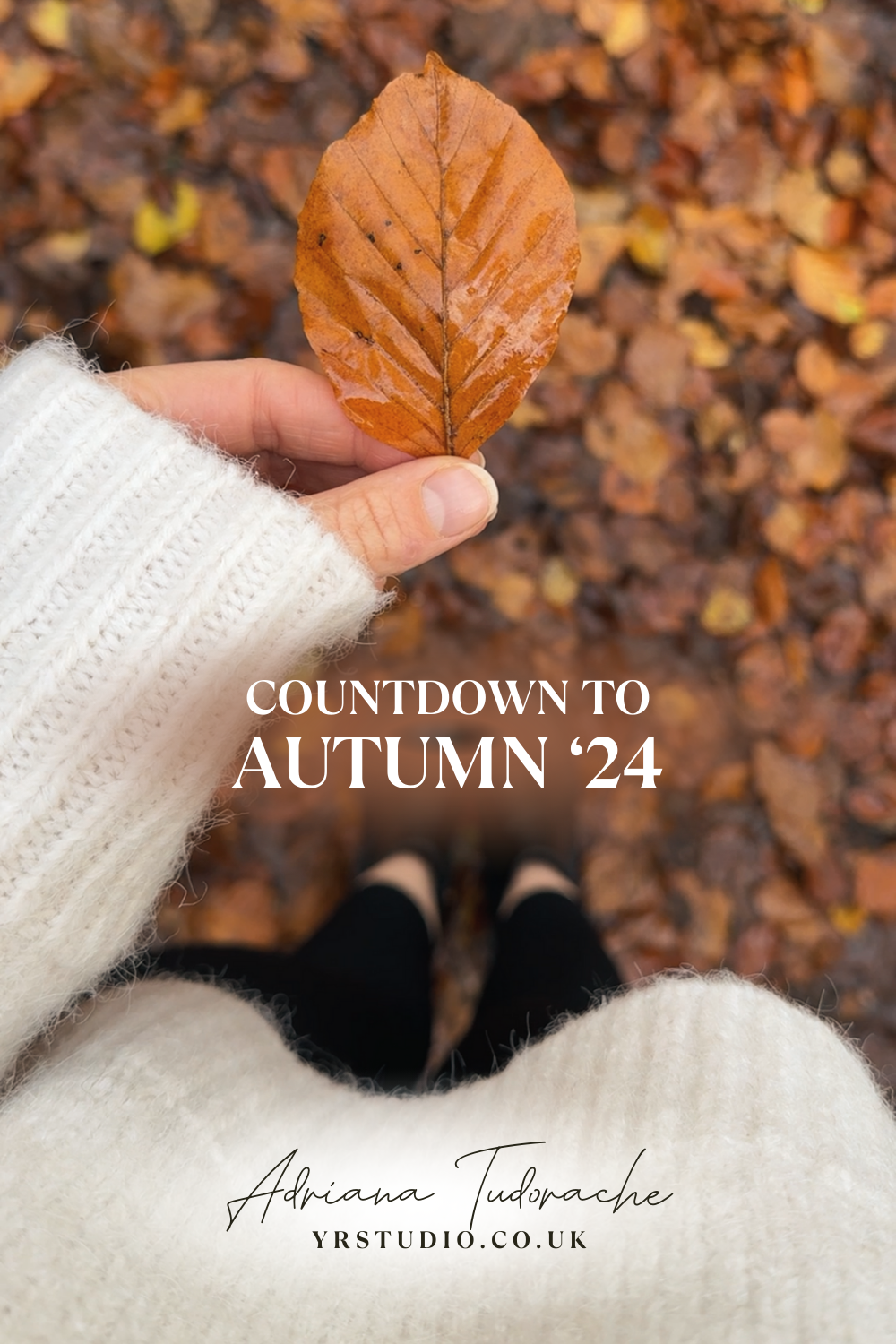 Countdown to Autumn 2024