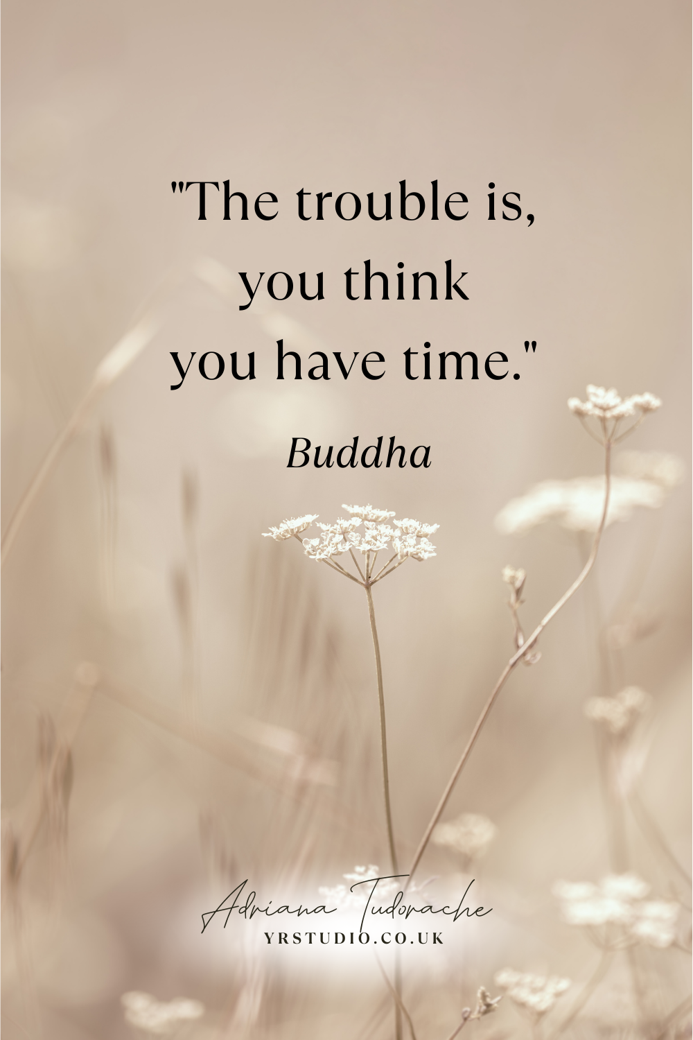 "The trouble is, you think you have time." - Buddha