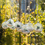 Christmas Themed Ball Ornaments - SHOPPLEHUB