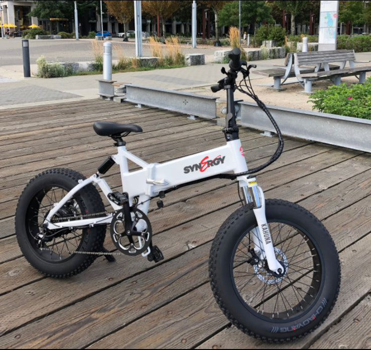 synergy kahuna 750 electric bike