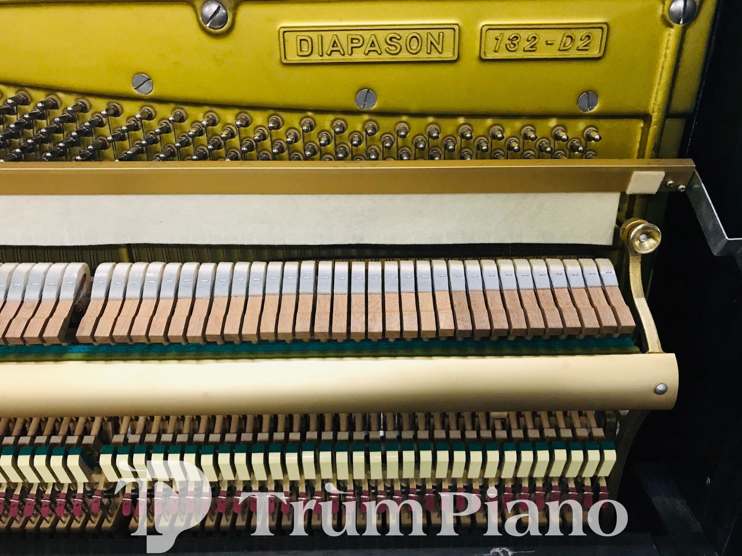 Đàn piano Diapason 132D2